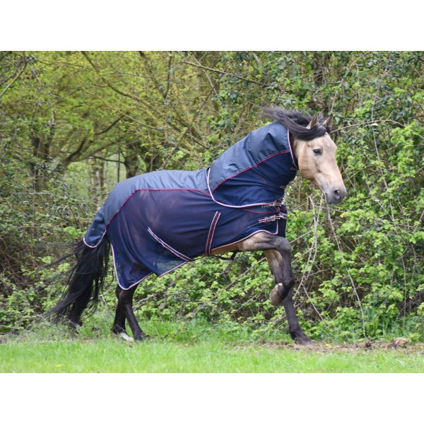 RHINEGOLD MOMBASSA WATERPROOF TOPLINE FLY RUG WITH NECK COVER